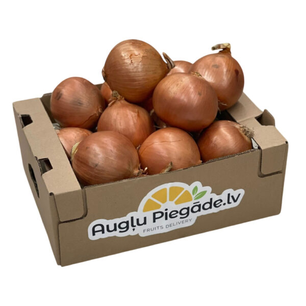 Kaste ar sīpoliem
