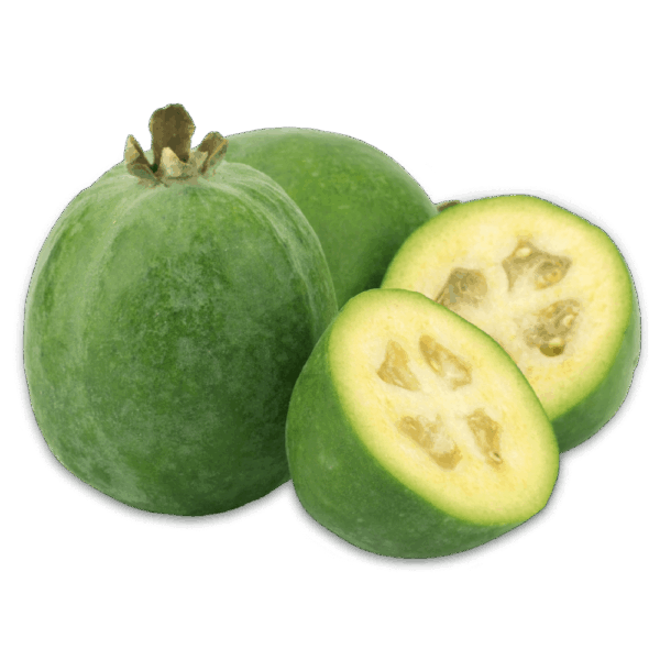feijoa